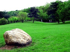 草坪基地.jpg